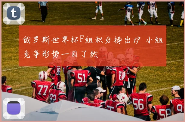 俄罗斯世界杯F组积分榜出炉 小组竞争形势一目了然