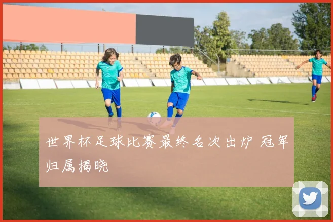 世界杯足球比赛最终名次出炉 冠军归属揭晓