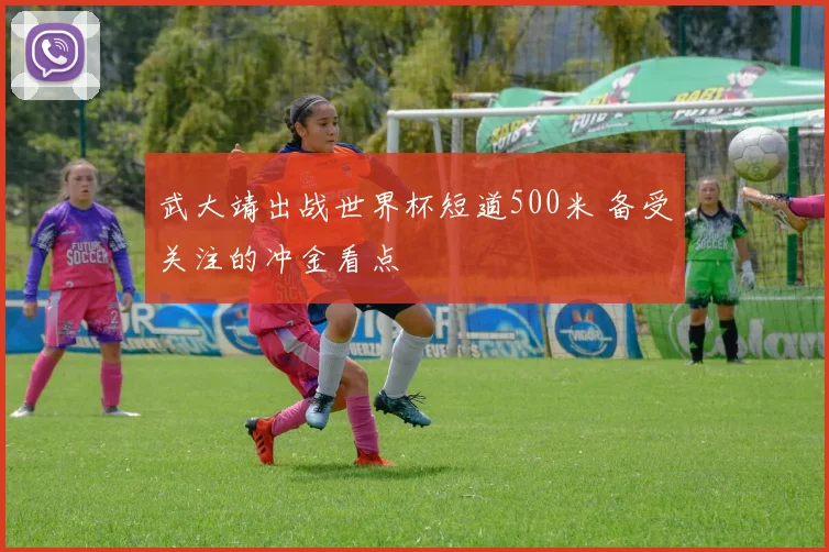 武大靖出战世界杯短道500米 备受关注的冲金看点