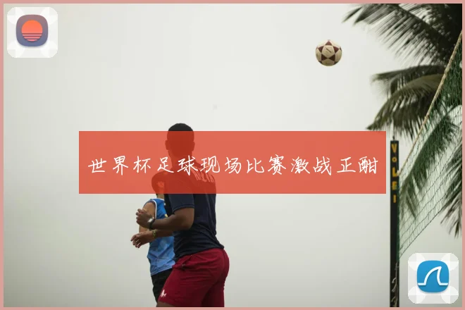 世界杯足球现场比赛激战正酣