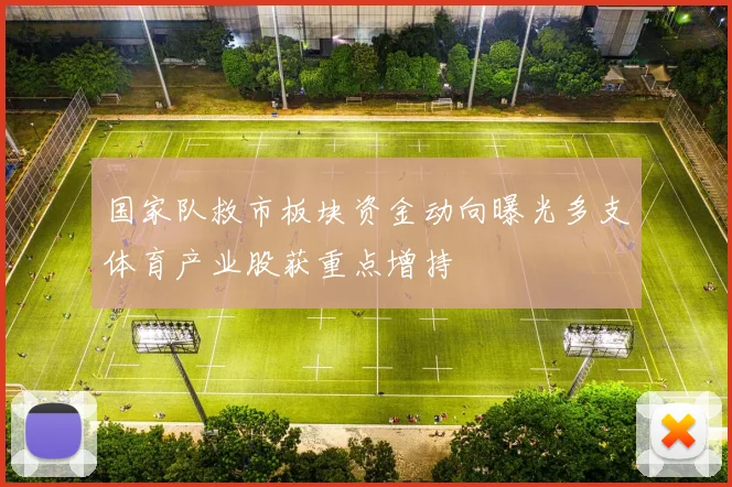 国家队救市板块资金动向曝光多支体育产业股获重点增持